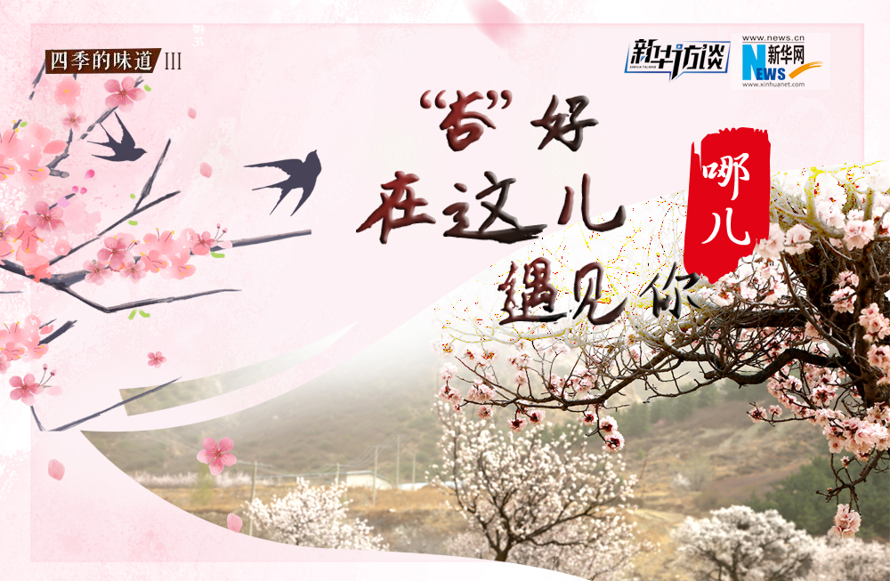 哪兒？“杏”好在這兒遇見(jiàn)你！