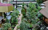 震撼！日本最豪華的廁所（組圖）