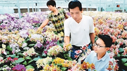 臺商眼中的改革開放：風景這邊獨好 要去，要去，要去！