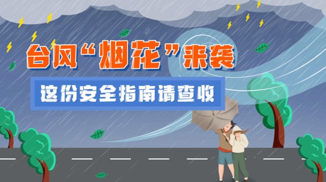 MG動畫：臺風“煙花”來襲，這份安全指南請查收