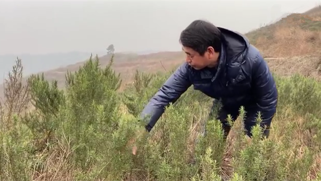 新春走基層｜脫貧后，駐村扶貧隊長在干啥？
