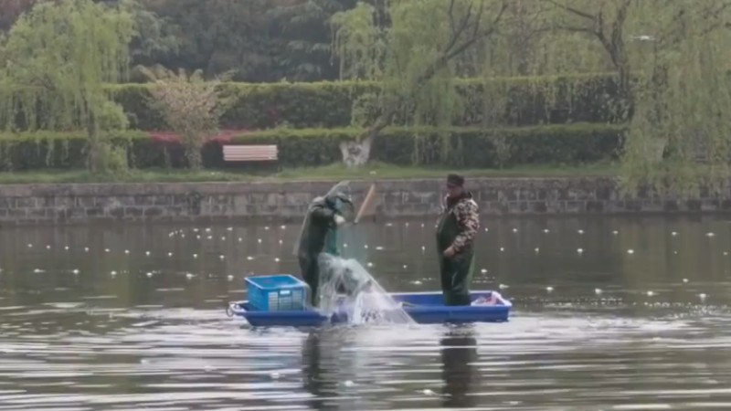 別人家的學(xué)校！安師大請(qǐng)師生吃一萬斤魚