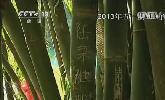 “五一”去哪？：快樂出行 文明旅游