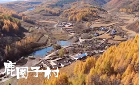 探秘關(guān)東人家，畫一個童話里的秋天