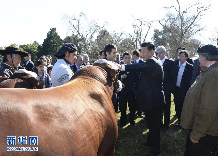 當?shù)貢r間7月19日，正在對阿根廷進行國事訪問的國家主席習近平參觀共和國莊園，考察阿根廷農牧業(yè)，了解阿根廷農牧民文化特色。新華社記者馬占成攝 