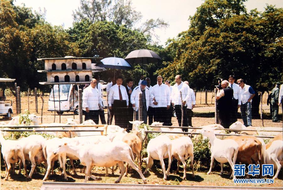 當(dāng)?shù)貢r間7月22日，國家主席習(xí)近平在哈瓦那親切探望古巴革命領(lǐng)袖菲德爾·卡斯特羅。 新華社發(fā)