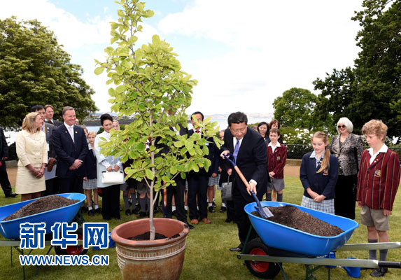 11月18日，國家主席習近平在澳大利亞塔斯馬尼亞州與朗塞斯頓市斯科奇－歐克伯恩小學的小學生共同植樹。新華社記者 饒愛民 攝