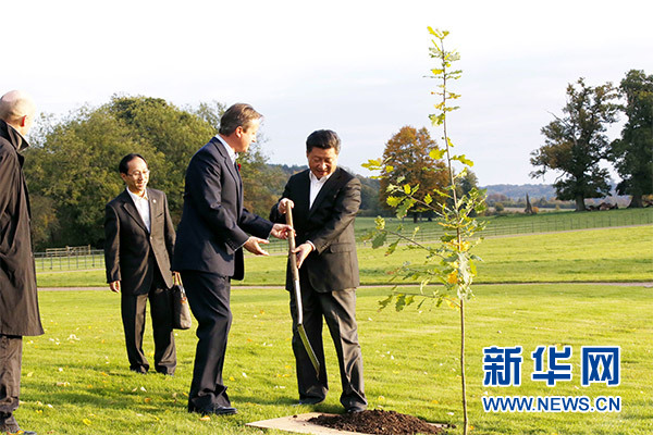 兩國領(lǐng)導(dǎo)人一同在別墅草坪，共同種下象征中英友誼的橡樹。新華社記者 鞠鵬 攝