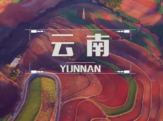 面向全球，直播“一帶一路”！——古道新生云之南